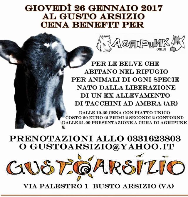 15823547_10211858897651734_3138672616779598836_n