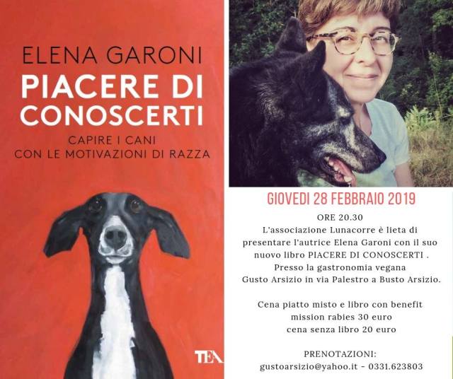 52602195_2143711255678151_8858994909906993152_n